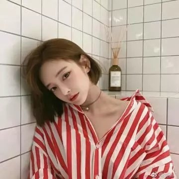 铁线蕨青