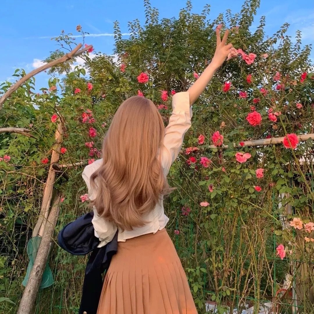 地平线系列:太阳系的秘密